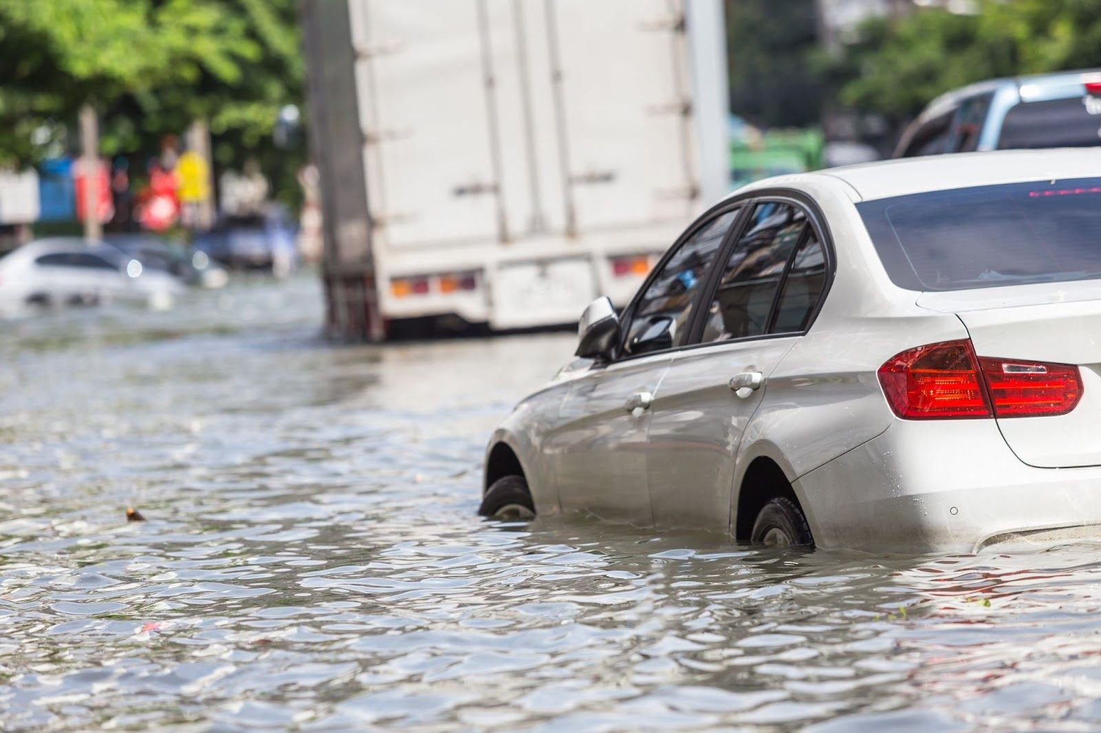 Cinturón de seguridad extendido mostrando línea de humedad y decoloración por inundación previa